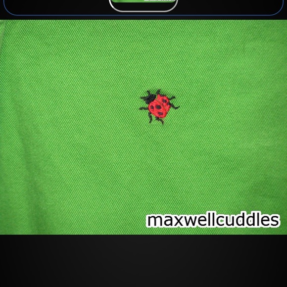 J CREW CRITTER SHORTS GRASS GREEN LADYBUGS 6 NEW - Picture 3 of 7